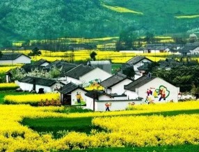 四部門印發(fā)《“十四五”鄉(xiāng)村綠化美化行動(dòng)方案》，哪些亮點(diǎn)值得關(guān)注？