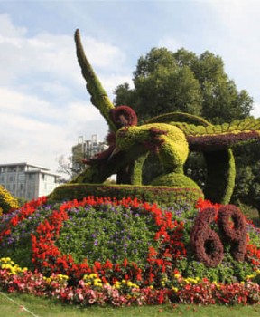 廣場景觀綠化提升