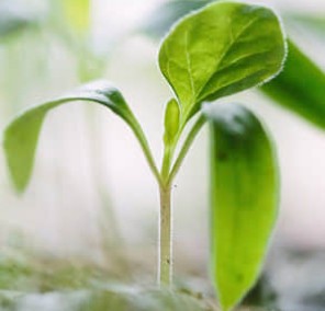 索爾集團價值觀