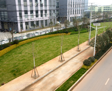 《境壩工業園大道》——南康城市道路景觀提升