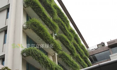 賓館窗臺綠化案例