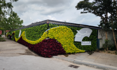 亞運(yùn)主題綠植墻