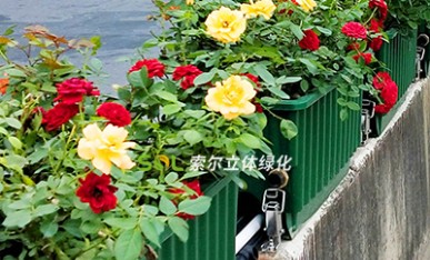 建德高架橋防撞欄綠化案例