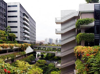 學校立體綠化解決方案簡介