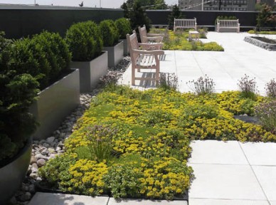 學校立體綠化解決方案簡介