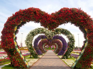 公園景觀提升解決方案簡介