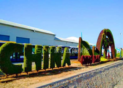 青島上合峰會(huì)主題綠雕