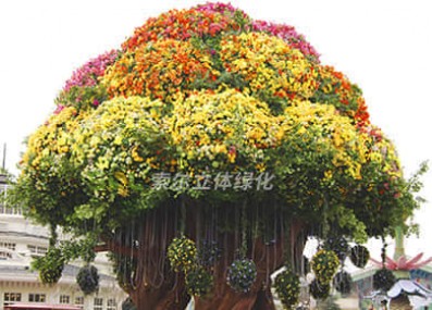 韓國(guó)游樂(lè)園