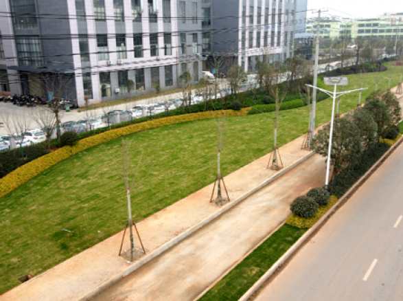 《境壩工業(yè)園大道》——南康城市道路景觀提升