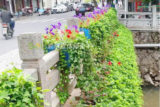 市政道路景觀提升