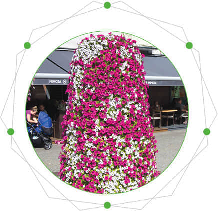 鮮花瀑布/拱門的特點(diǎn)