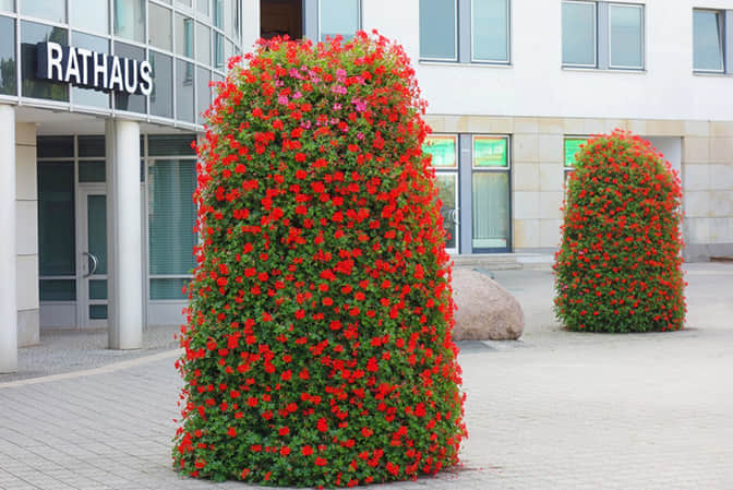 小區(qū)景觀提升1