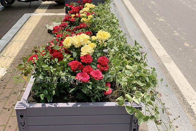 道路街道景觀提升1人行道