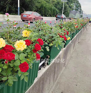 新型智能高架橋綠化