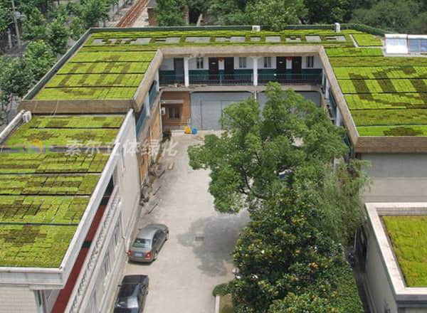 屋頂綠化灌溉養護