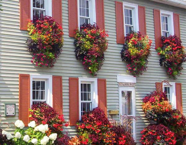 窗臺美化解決方案簡介