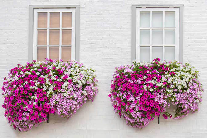 居住空間景觀提升住宅窗臺美化