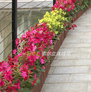 人行天橋綠化-擺放式