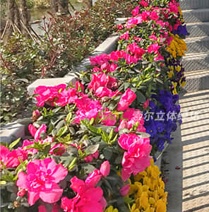 人行天橋綠化-雙面掛