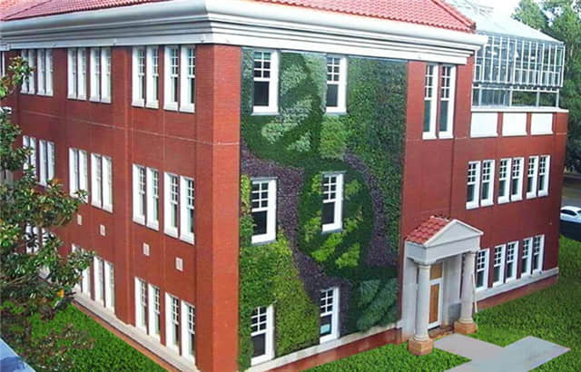 夏洛特皇后大學(xué)植物墻 (1).jpg