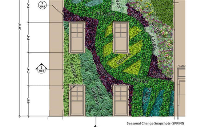 夏洛特皇后大學(xué)植物墻 (7).jpg