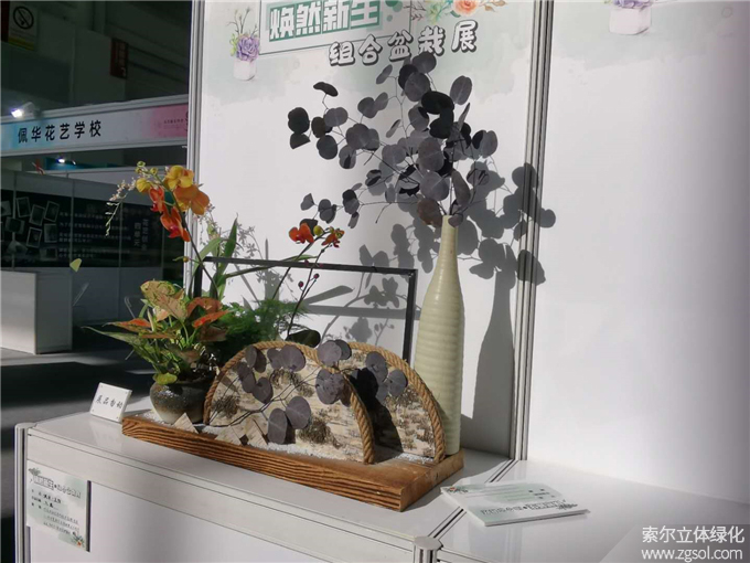 第二十二屆中國(guó)國(guó)際花卉園藝展-索爾 (7).jpg