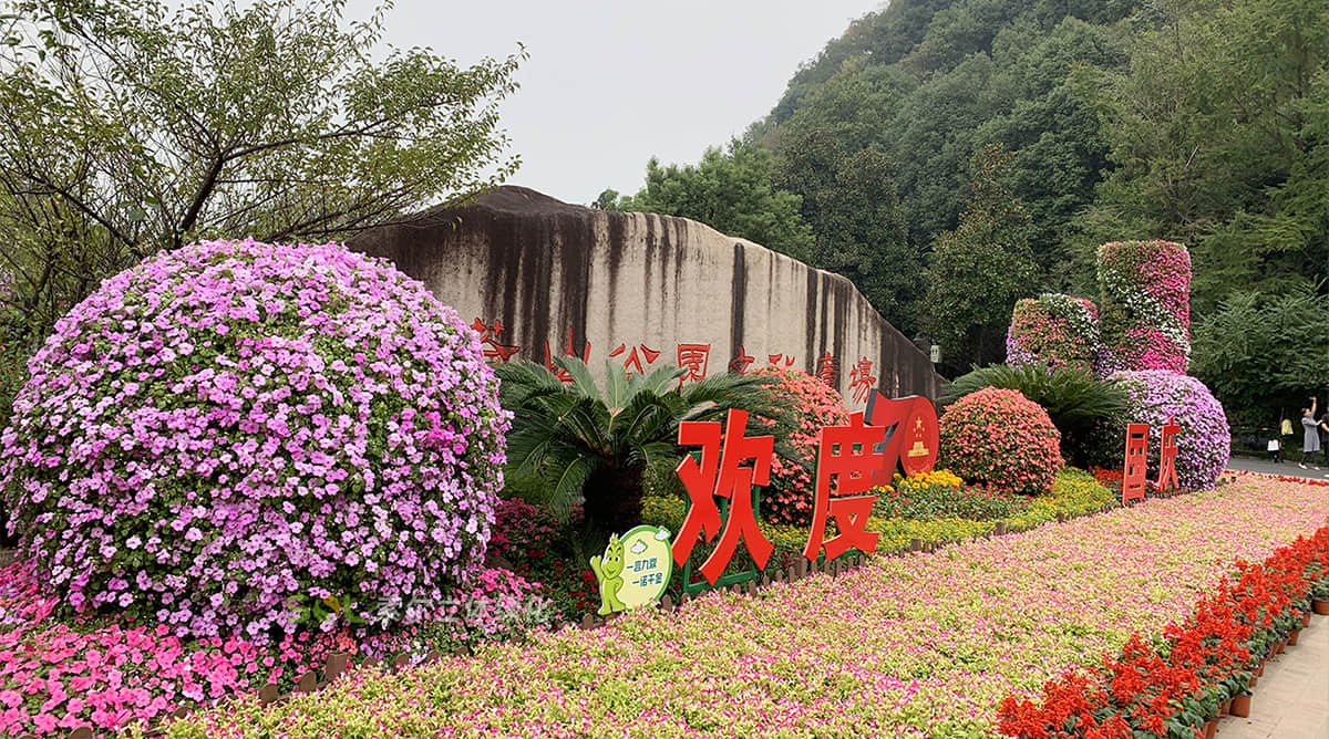 國慶杭州余杭廣場景觀提升