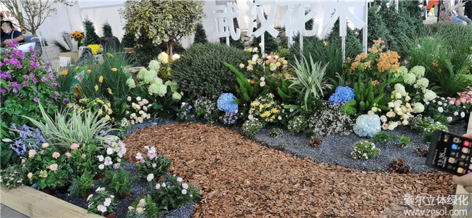 第二十二屆中國(guó)國(guó)際花卉園藝展-索爾 (5).jpg