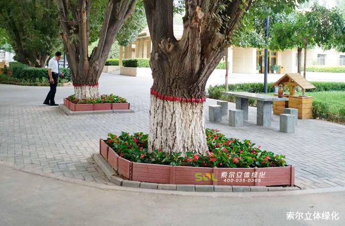 08索爾行道樹綠化 (28).jpg