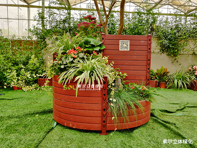 12索爾行道樹綠化 (26).jpg