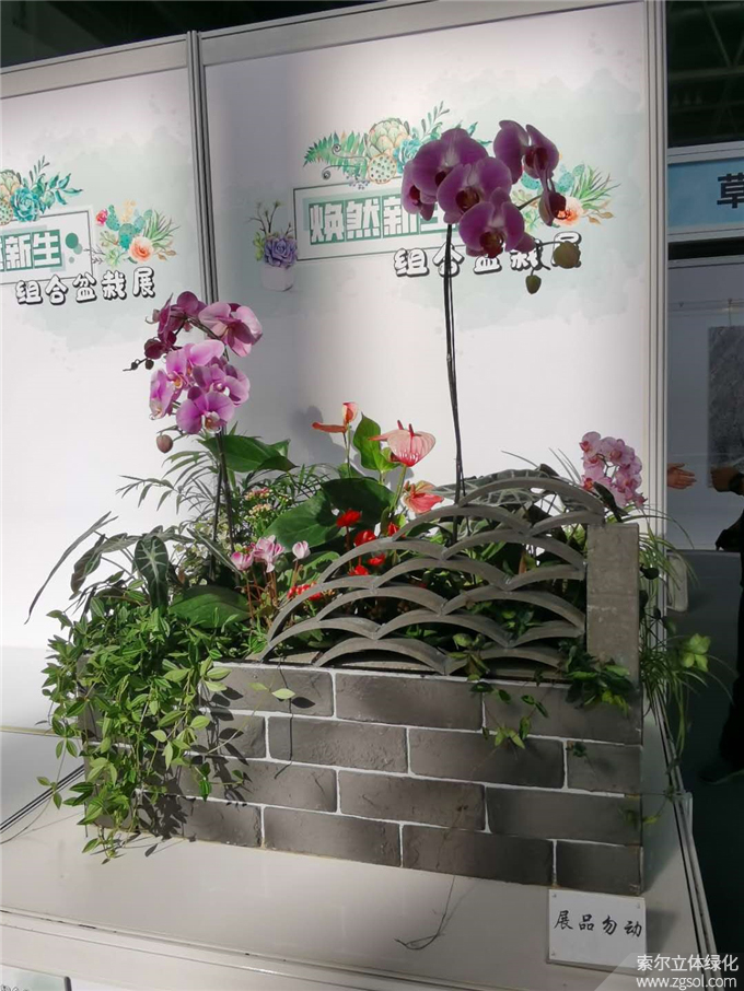 第二十二屆中國(guó)國(guó)際花卉園藝展-索爾 (9).jpg