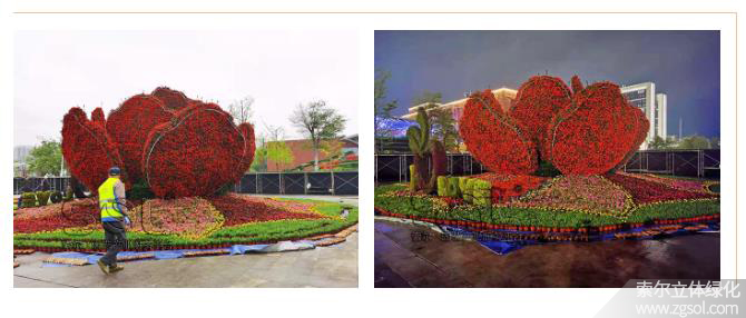 28山東青島膠州市民文化中心五一立體花壇“幸?；ㄩ_” (45).jpg