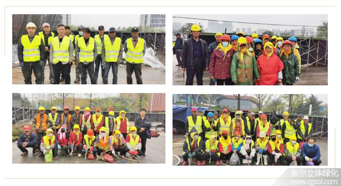 29山東青島膠州市民文化中心五一立體花壇“幸?；ㄩ_” (52).jpg