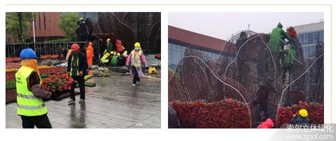 24山東青島膠州市民文化中心五一立體花壇“幸?；ㄩ_” (45).jpg