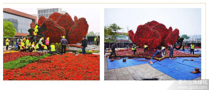 27山東青島膠州市民文化中心五一立體花壇“幸?；ㄩ_” (14).jpg