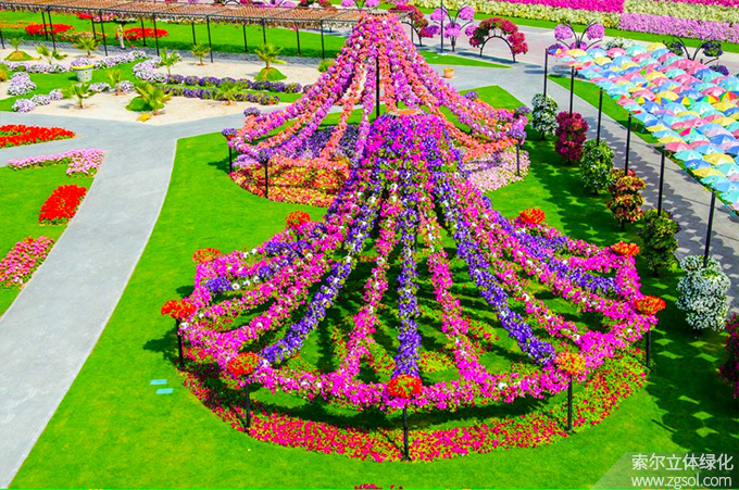 43迪拜奇跡花海 (20).jpg