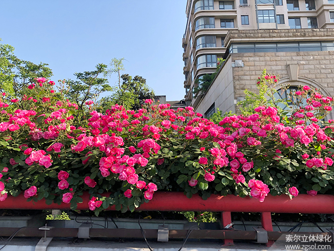 29杭州高架2021年 (19).jpg