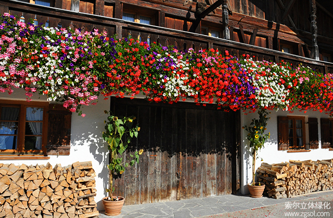 16陽臺美化 (159).jpg