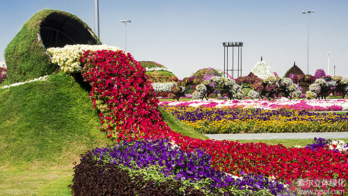 29迪拜奇跡花海 (4).jpg